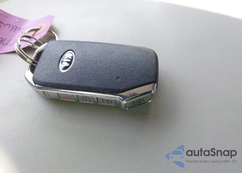 2020 Kia Telluride Ex z USA, uszkodzony, nr VIN 5XYP34HC2LG084946